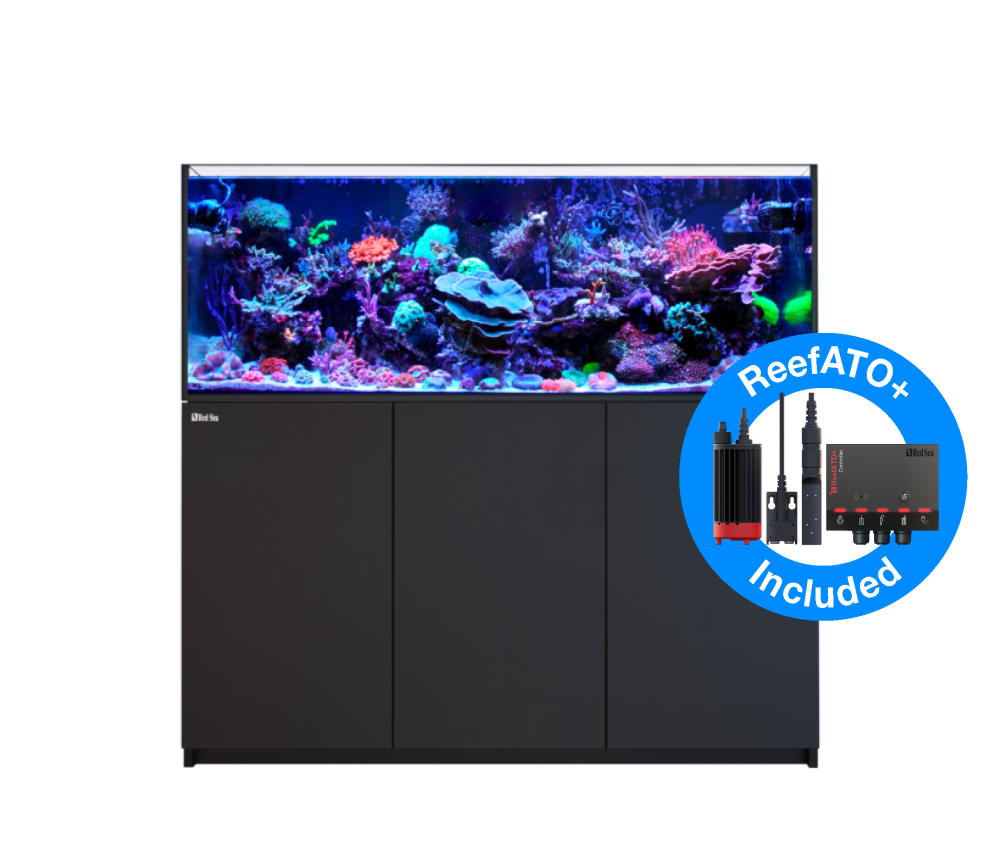 Red Sea Reefer 525 G2+ Meerwasseraquarium Komplettset Red Sea Reefer 525 G2+ Meerwasseraquarium Komplettset